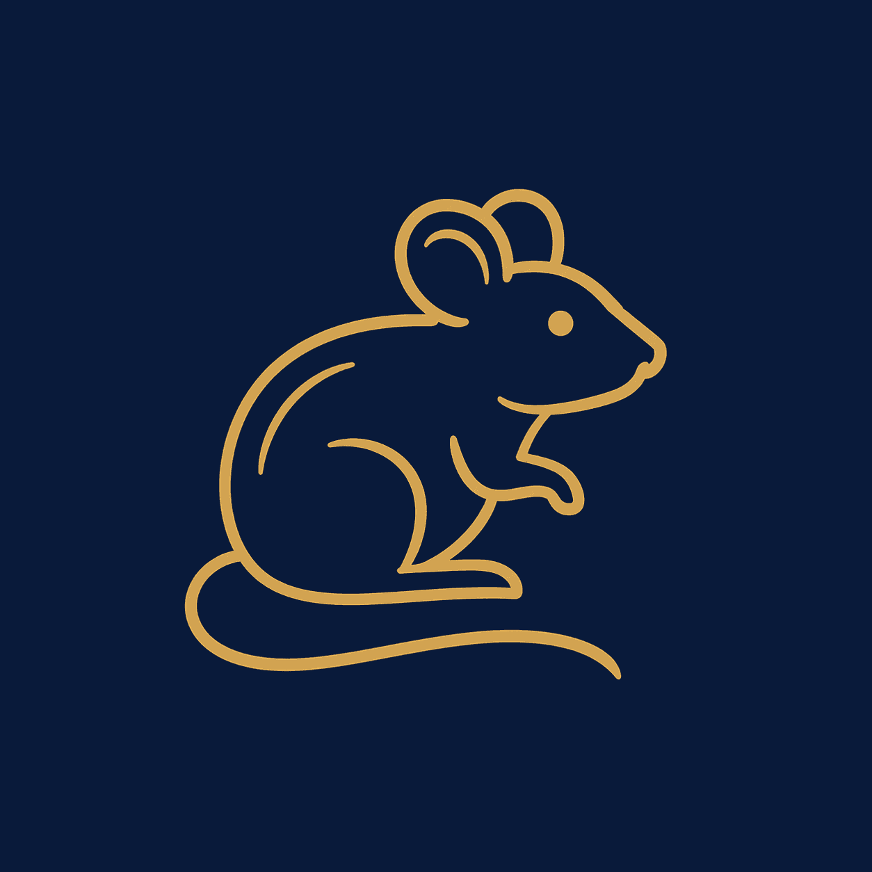Rat